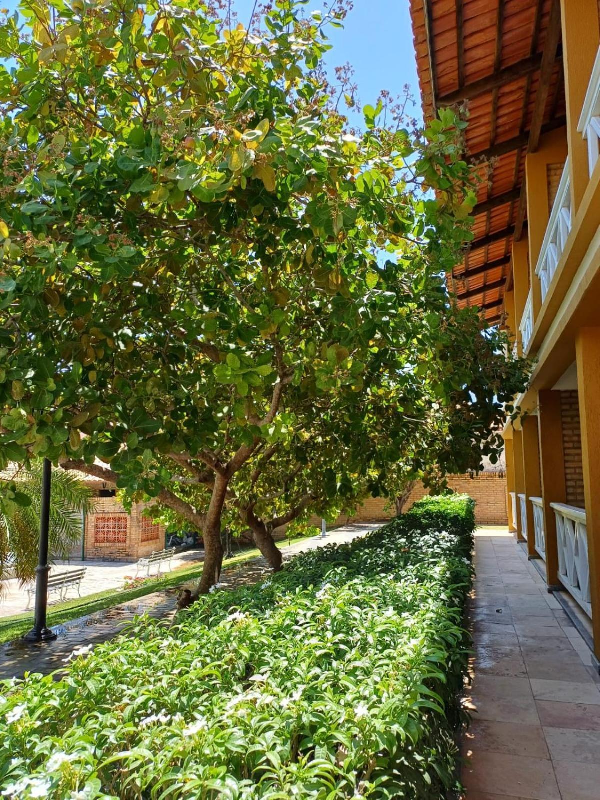 Hotel Porto Belo أكويراز المظهر الخارجي الصورة